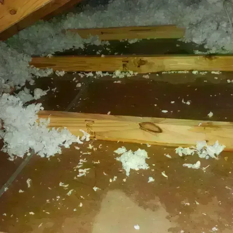 Attic Water Damage in Buies Creek, NC