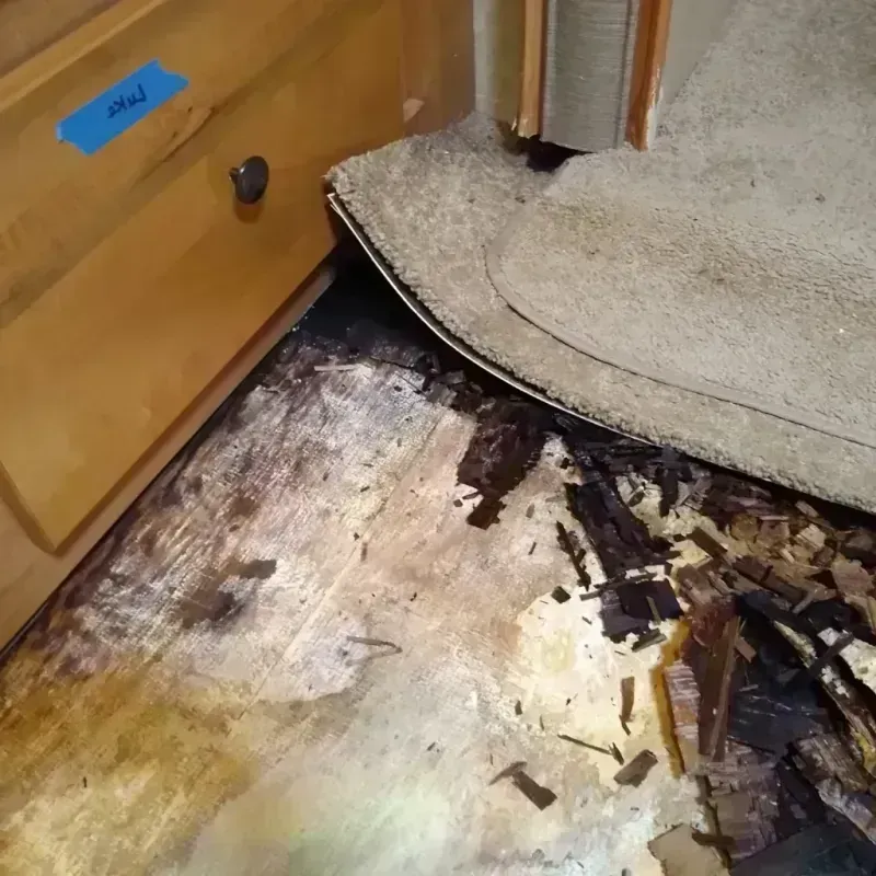 Best Wood Floor Water Damage Service in Buies Creek, NC